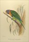 Gregory Mathews Birds of Australia