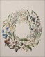 Botanical prints, Louisa Anne Meredith