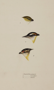 John Gould, Birds of Australia Synopsis